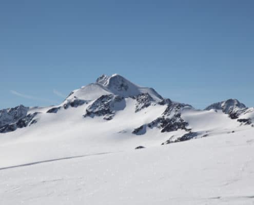 Wildspitze 3770 m n.m.